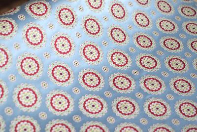 Light Blue Brocade with Blooming Roundels