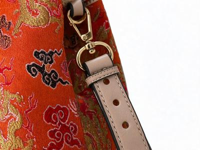 Auspicious Dragon on Imperial Brocade